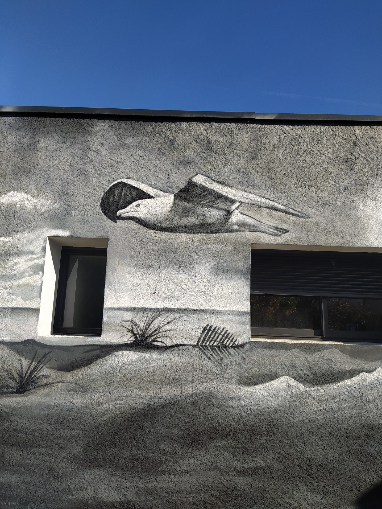 Graffiti / Murals #046