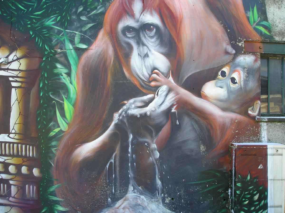 Graff / Muralisme #066